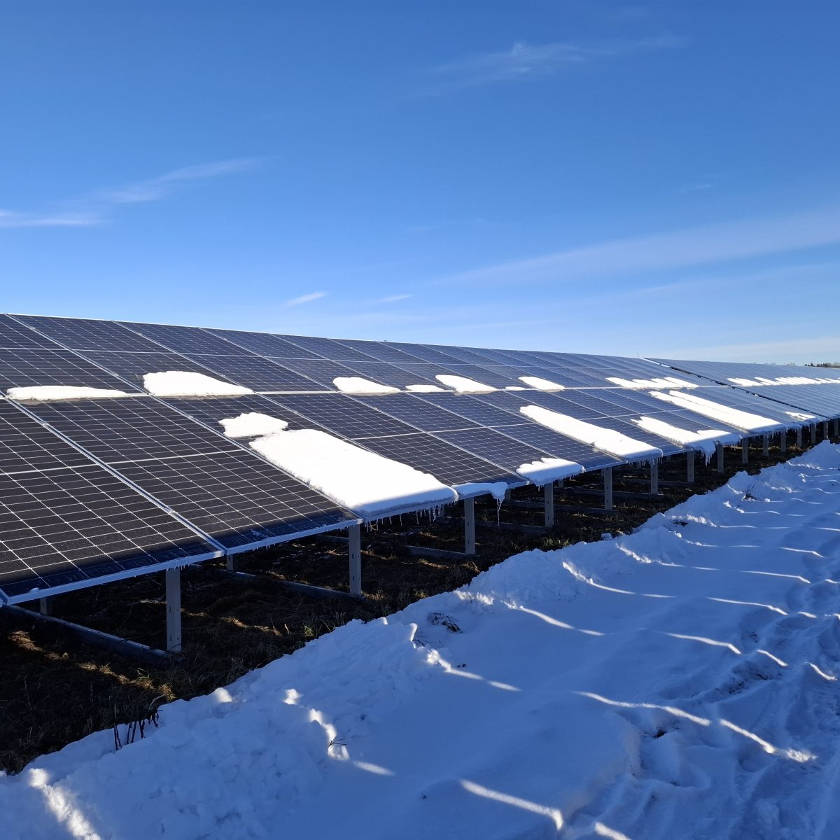 Hallstavik Solar Park – Sweden